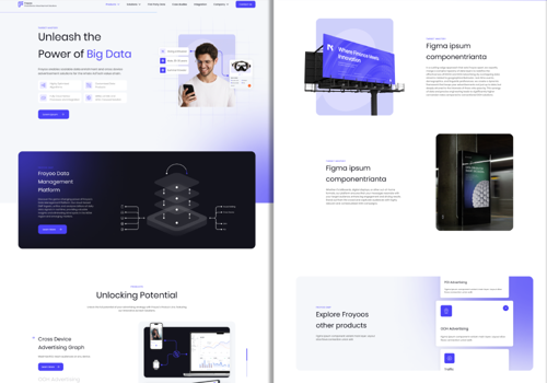 Web Development Package Example: Froyoo Web Development and Design