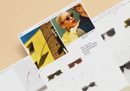 Web Development Package Example: Eye Wear Website Development