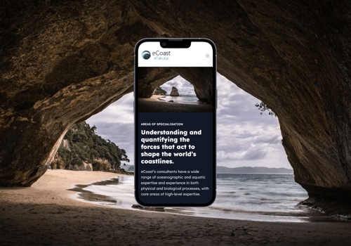 Web Development Package Example: eCoast Webflow Website Build