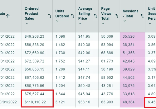 Advertising Package Example: WSA increases BURP LIDS Sales by 2X through PPC