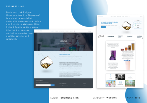 Web Design Package Example: Business Link