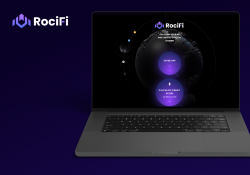 IT Staff Augmentation Package Example: RociFi: DeFi Innovation