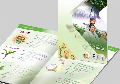 Graphic Design Package Example: Product Catalog Design Print and Digital