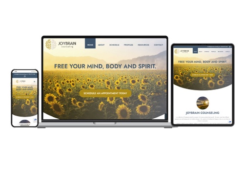 Web Design Package Example: Denver Custom Website Development