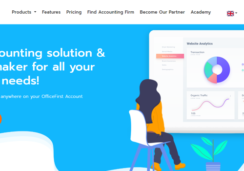 Web Development Package Example: Accounting solution website