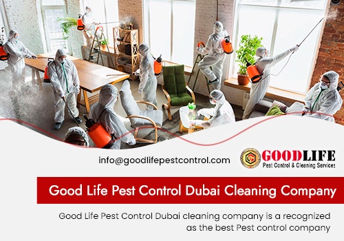 Pay Per Click Package Example: Good Life Pest Control