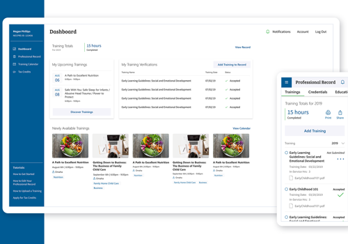 UX/UI Design Package Example: Early Childhood Professional Record System