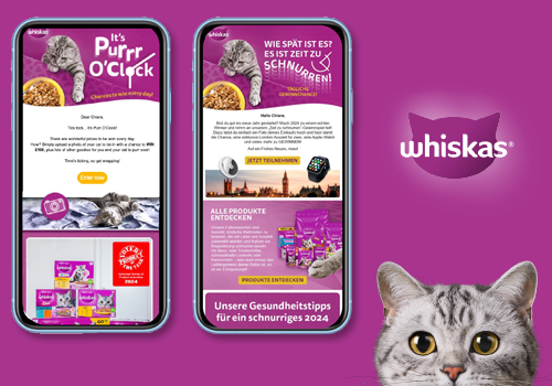 Content Marketing Package Example: Global Pet Food Brands - Copywriting & Translation