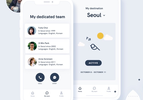 UX/UI Design Package Example: Chickadee - Making Traveling Abroad Easier