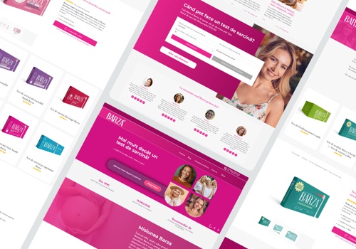 Web Design Package Example: Revitalizing Barza Test: Digital Transformation