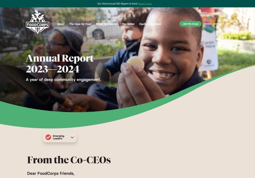 Web Development Package Example: Web Development for large Nonprofit organization