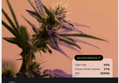 Email Marketing Package Example: Klaviyo Email Marketing for CBD Brand