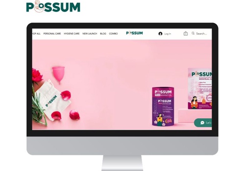 Web Development Package Example: E Commerce Web development