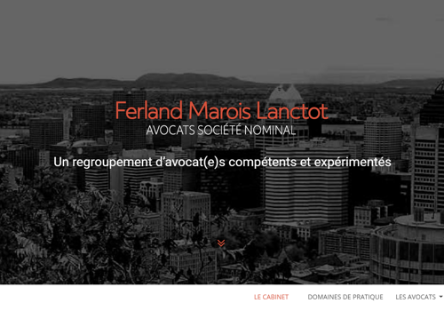 Web Design Package Example: FML Law Offices