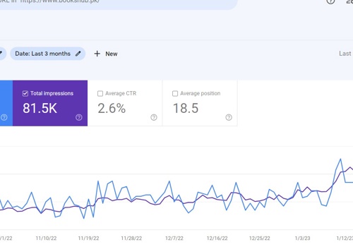 Search Engine Optimization Package Example: SEO for Ecommerce Website