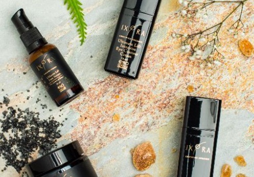 Pay Per Click Package Example: Project with IXORA