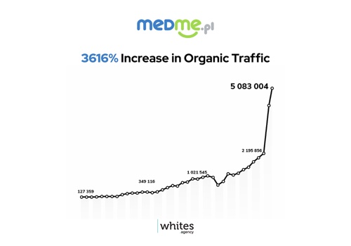 Search Engine Optimization Package Example: Cooperation with Medme