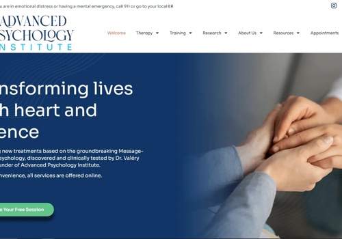 Digital Strategy Package Example: Advanced Psychology Institute