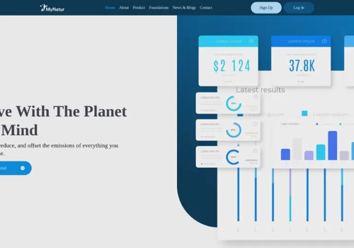 Web Design Package Example: Website