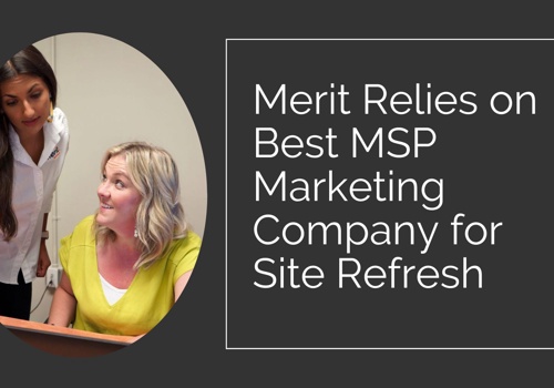 Web Design Package Example: Merit Technologies MSP Website Refresh