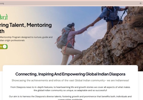 Custom Software Development Package Example: Indianness