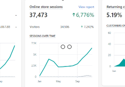 Advertising Package Example: $0 to $30,000 per Month Revenue with 4X ROAS