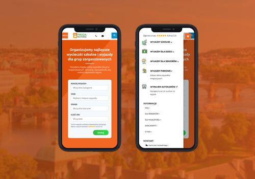 Web Design Package Example: Pikada.net