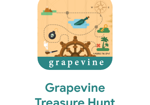 Mobile App Development Package Example: Grapevine Treasure Hunt