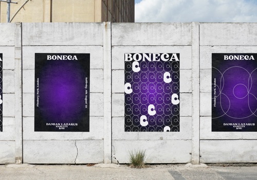 Branding Package Example: BONECA - Branding