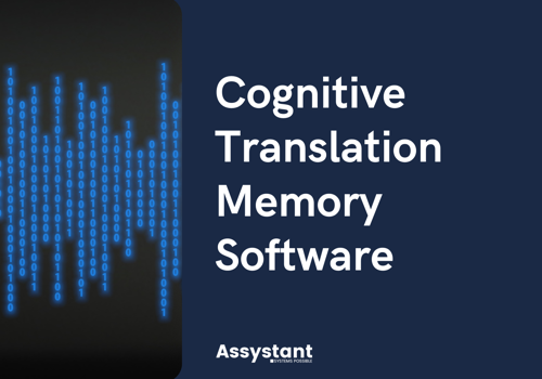 Web Development Package Example: Cognitive Translation Memory Software