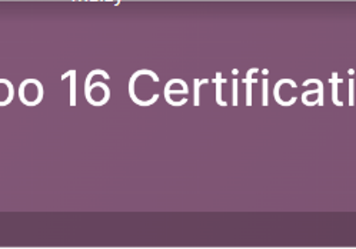 ERP Consulting and SI Package Example: Odoo V16 Certification Consultation