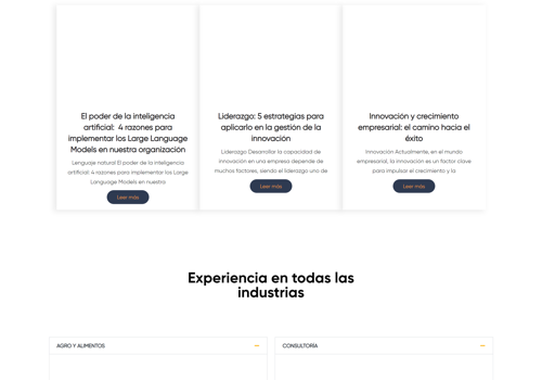 Custom Software Development Package Example: corporate website