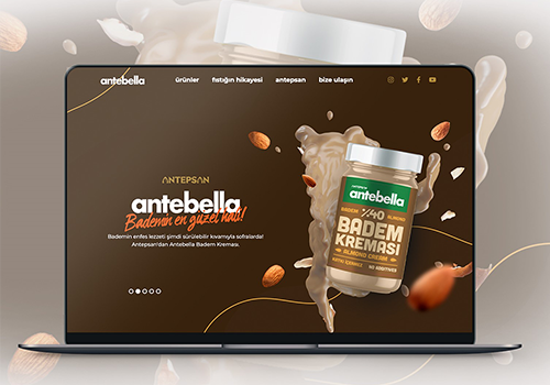 Web Development Package Example: Antebella - Antepsan