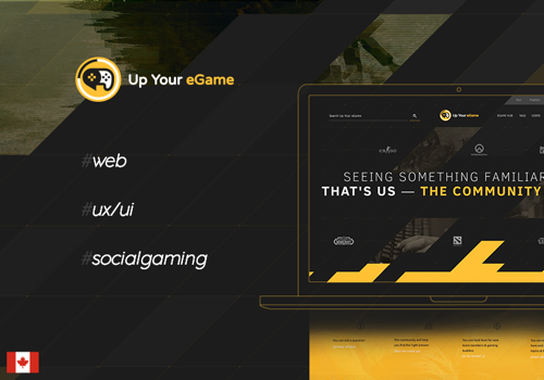 Custom Software Development Package Example: Up your eGame - a premium community platform