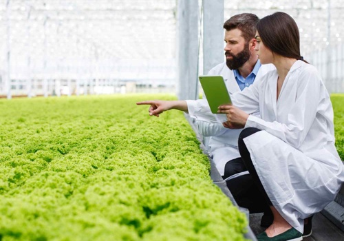 Cloud Consulting & SI Package Example: AgriTech Mobile Application Modernization