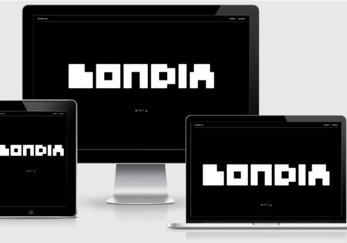 Web Development Package Example: Landing page development for start-up