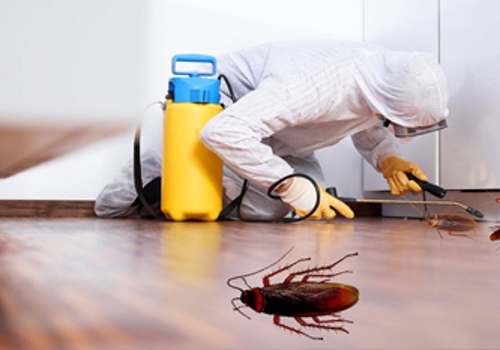 Call Center Services Package Example: Pest Control