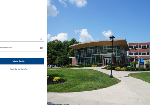 UX/UI Design Package Example: Quiz Proyect Web