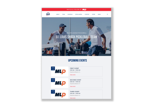 Web Design Package Example: Shopify Design and Development