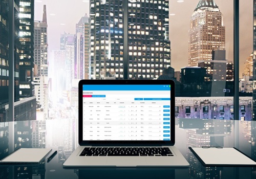 Custom Software Development Package Example: AI-driven Warehouse Management System