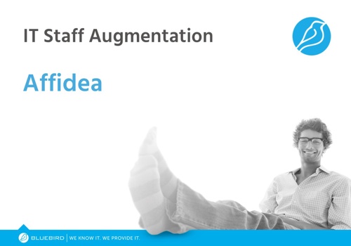 Staffing Package Example: Affidea Case Study