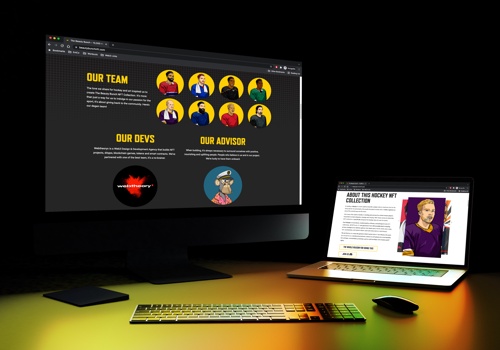 Web Design Package Example: The Beauty Bunch