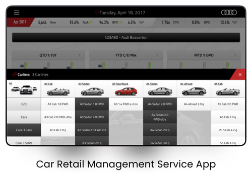Custom Software Development Package Example: Audi
