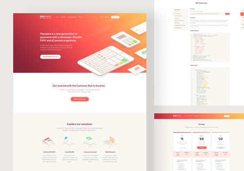 Web Design Package Example: PaySpace - New generation of payments