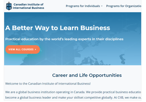Pay Per Click Package Example: SEO for Canadian Institute of International Busine