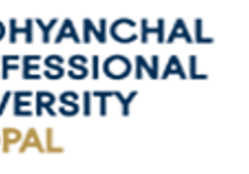 Search Engine Optimization Package Example: Search Engine Optimization