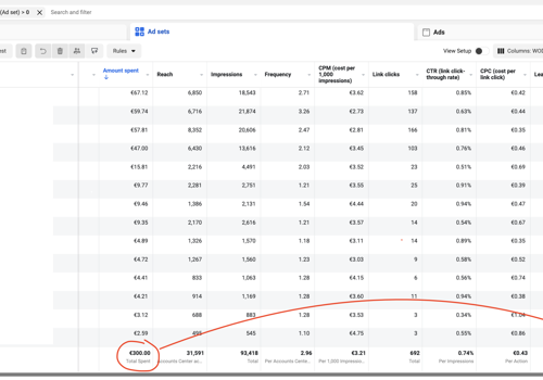 Marketing Strategy Package Example: 100 Leads in 30 Days at a €3 CPL