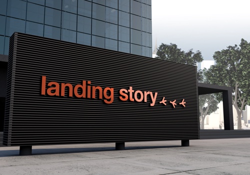 Branding Package Example: Landing Story