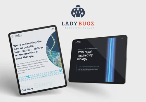 Web Design Package Example: Disruptive Biotech Website Design