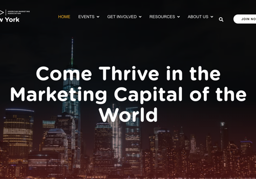 Advertising Package Example: Custom Website Development